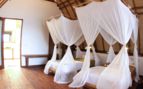 Twin Room at Komodo Dive Resort, Indonesia