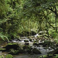 Ranomafana, Madagascar