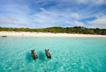 Exuma Cays