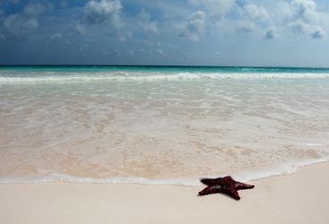 Harbour Island Beach, Bahamas