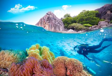 Diver in Thailand