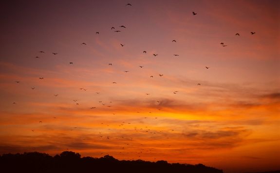 sunset indonesia