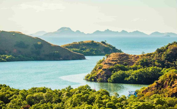 Rinca Island 
