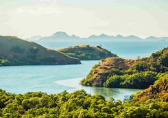 Rinca Island 
