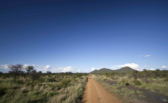 Madikwe