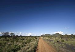 Madikwe