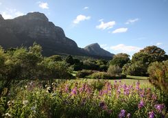 Botanical Gardens