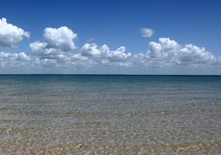 Paradise Island