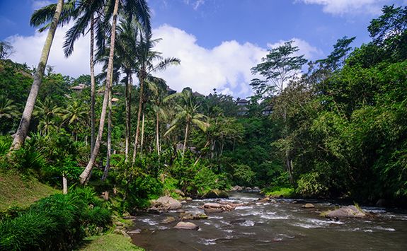 Ayung River Bali
