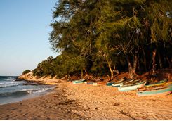 Tofo Beach