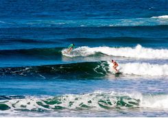 surfing from tofo
