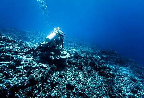 diving off the grid