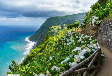Coastal Path with Hydrangeas 