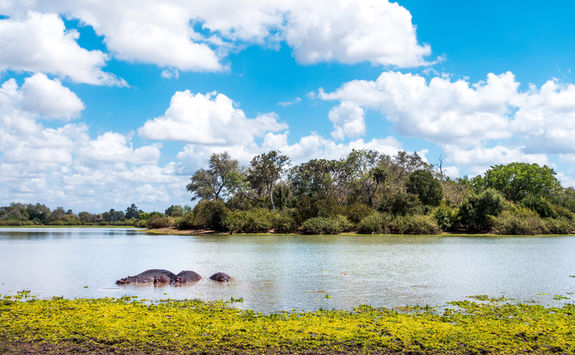 seluos game reserve