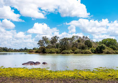 seluos game reserve