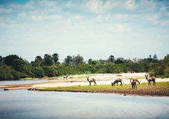lake manze