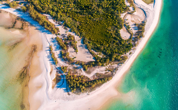 mafia island