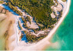 mafia island
