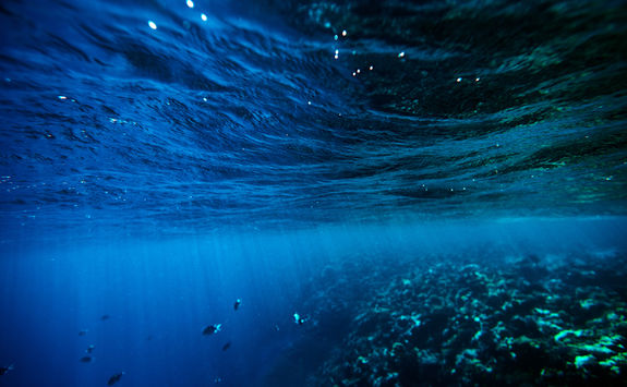 reef chole bay