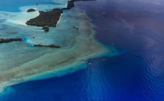 palau blue corner