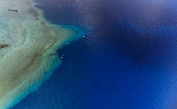 blue corner