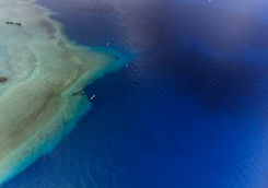 blue corner