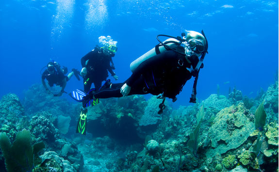 family diving 