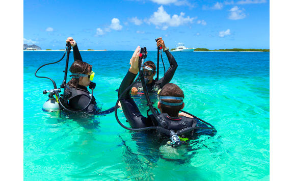 learning to dive 
