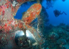 shakem shipwreck