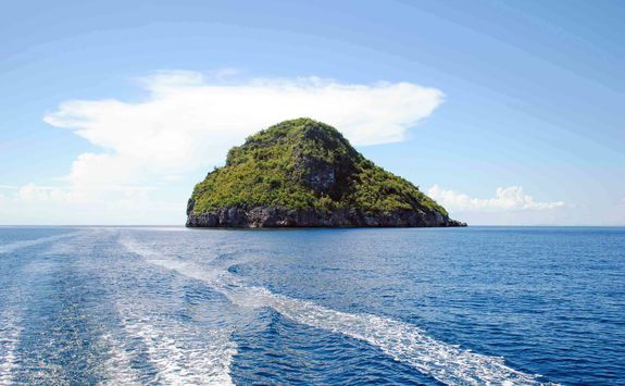 gato island