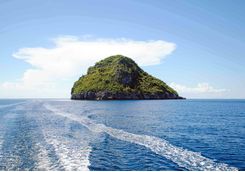 gato island