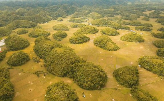 chocolate hills