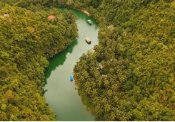 loboc top