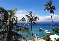 apo island