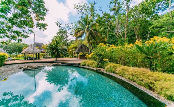 qamea resort pool