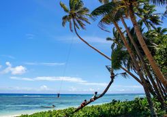taveuni island