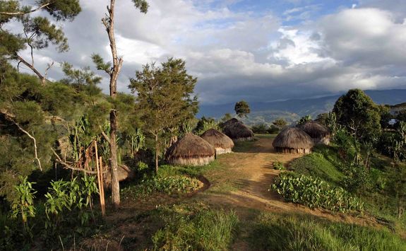 village rainforest