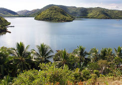 jungle islands