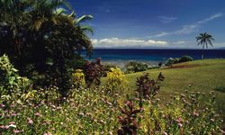 View to the ocean