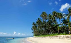 Image of a beach on Taveuni