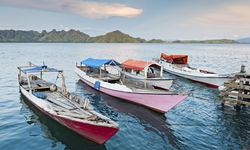 Boats in the water