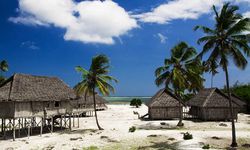 Beach huts