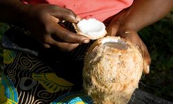 Fresh coconut