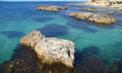 Daymaniyat Islands, Oman