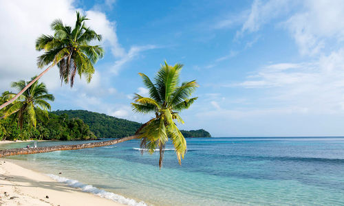 Fiji beach