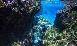 Diving in Gozo