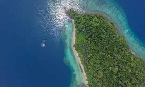 Bulupoloe, Watatobi