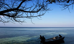 Boat on the shore
