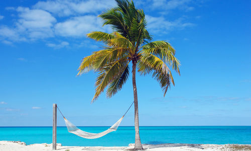 Andros beach