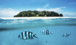 Tanzania Underwater